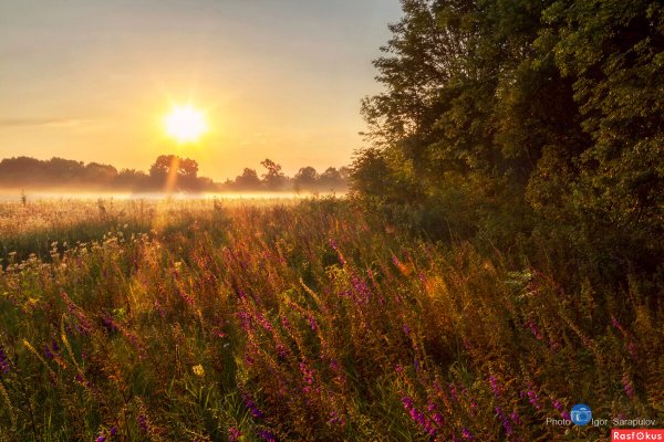 Фотограф Игорь Сарапулов