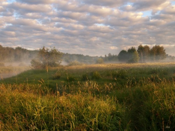 Доброе утро сенокос