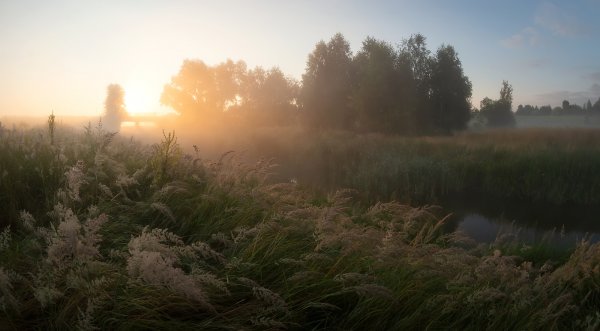 Июльское утро в городе
