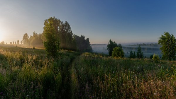 Утро в Кургане фото