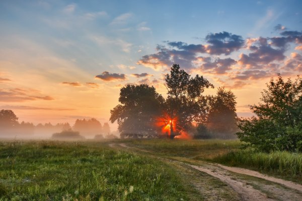 Июль туман фото