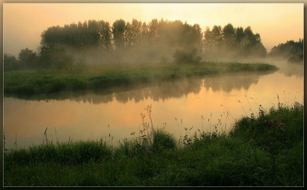 Деревенское Июльское утро