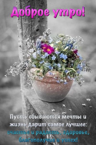 Открытки с добрым утром и благословенным днем