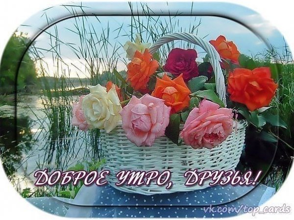 Доброе утро благословенного дня