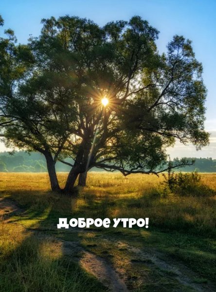 Доброе раннее утро