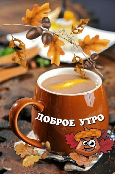 Доброе утро
