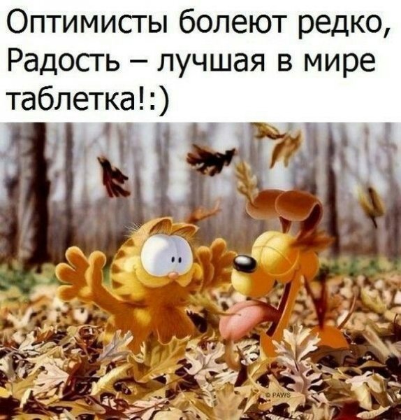 Цитаты про осень смешные