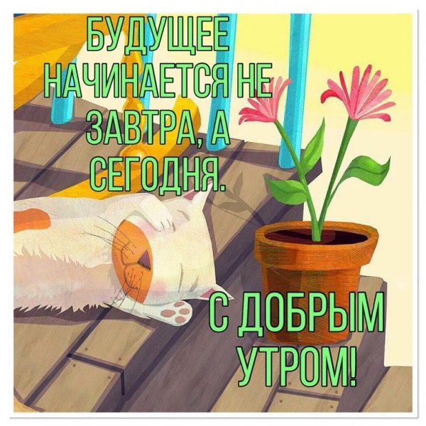 Доброе утро настрой на день