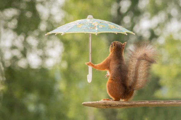 Позитив природа