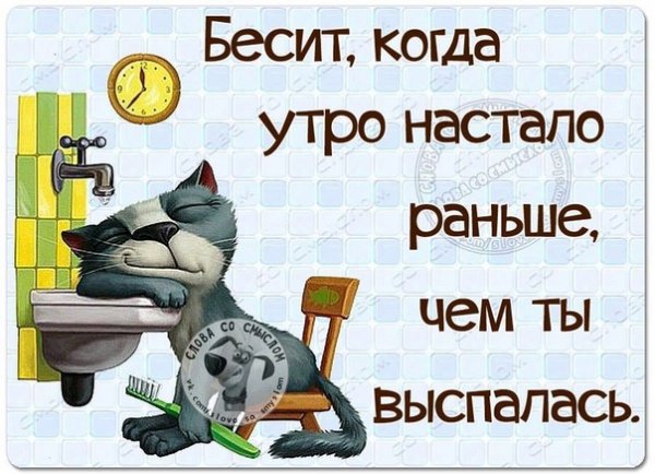 Когда всё бесит смешные картинки