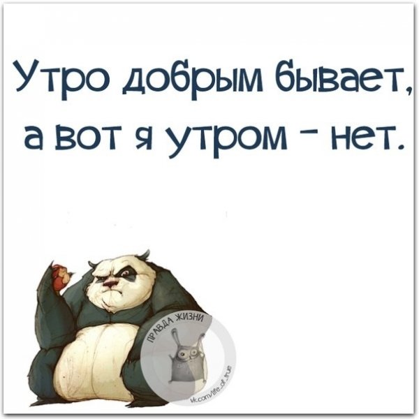 Утро добрым не бывает