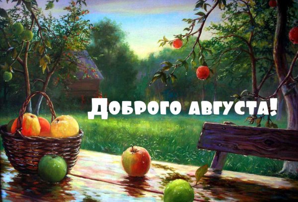 Доброе августовское утро
