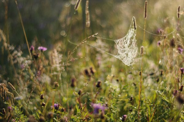 August morning