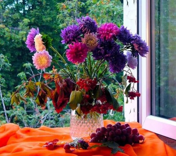 Август — астры, август — звезды, август — грозди