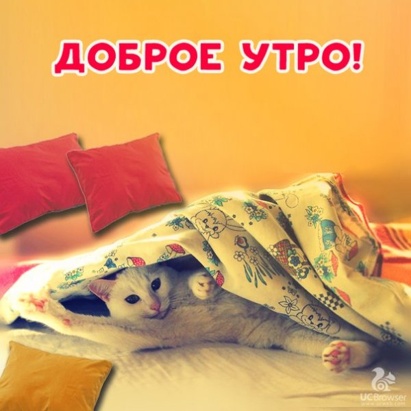Доброе утро хорошего дня пятница