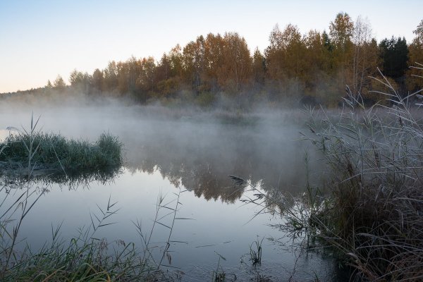 Тихое утро