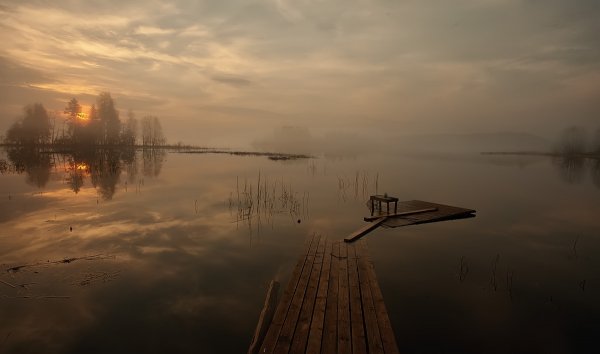 Тихое утро