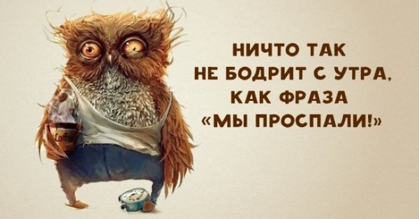 Птица недосып