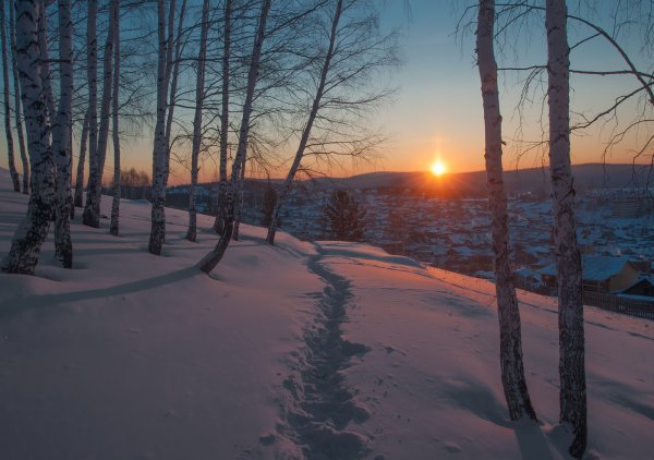 Картинка утро зимой (42 фото)