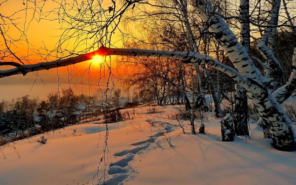 Морозное солнечное утро