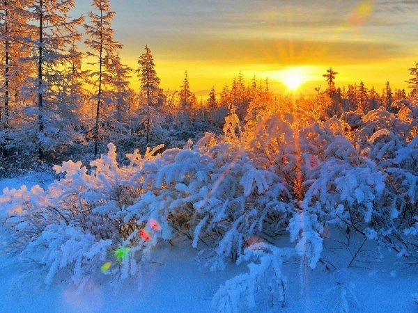 Зимний Солнечный пейзаж