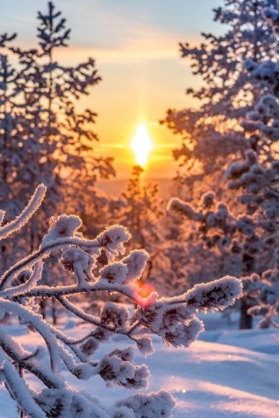 Морозное солнечное утро