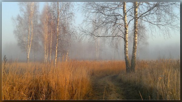 Доброе ноябрьское утро с природой