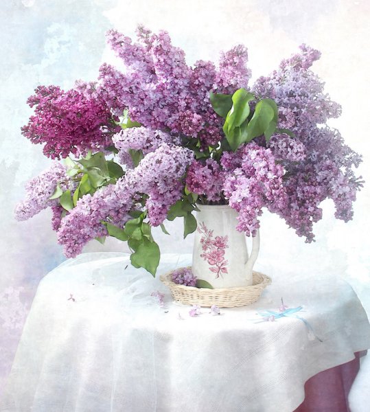 Букет сирени