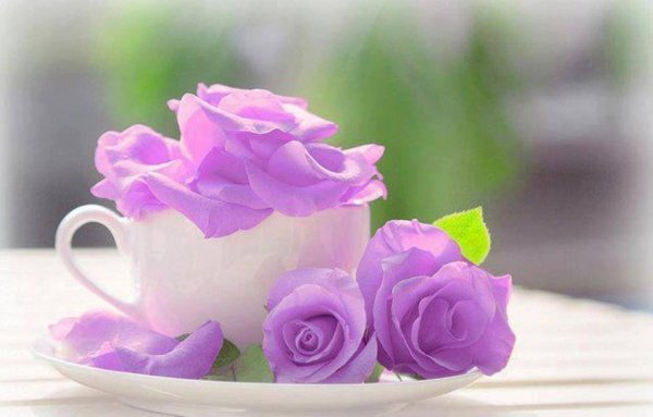 Нежное сиреневое утро