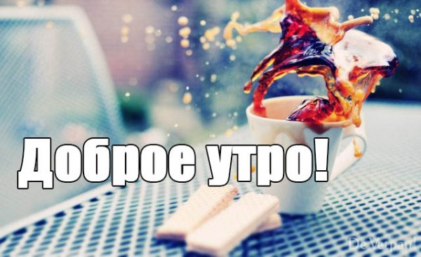 С добрым утром демотиваторы смешные