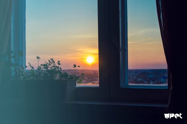 Раннее утро из окна
