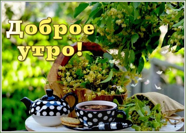 Открытки с добрым утром и воскресным днем