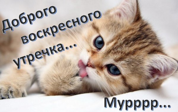 Доброе утро воскресенье прикольные