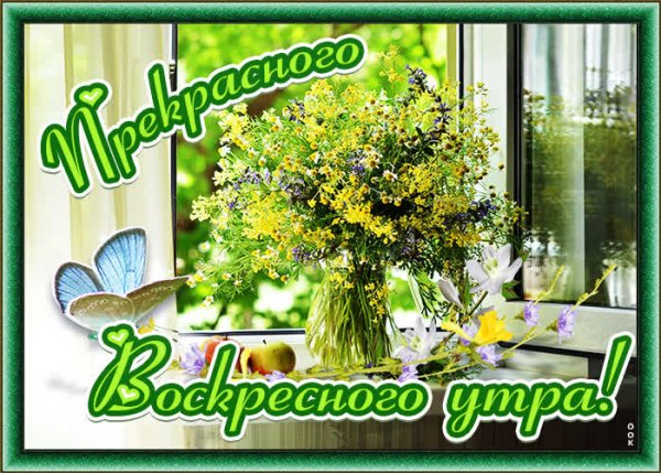 Доброе летнее утро воскресенья