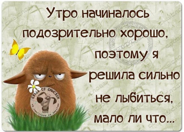 Утро началось подозрительно хорошо