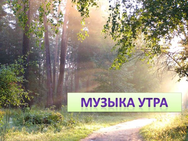 Музыкальное утро