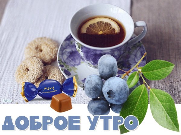 Доброе утро здоровья и бодрости
