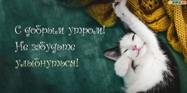 С добрым утром улыбнись