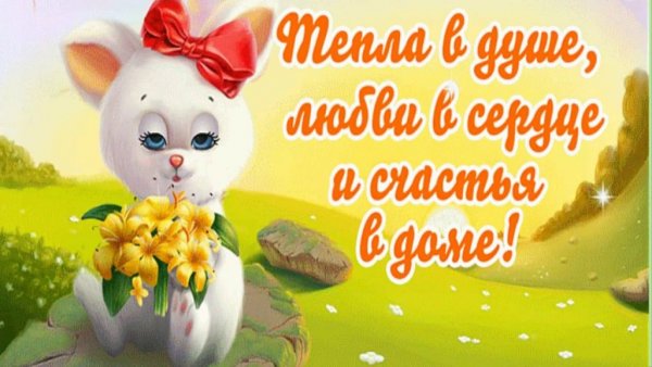 Улыбнись хорошего дня