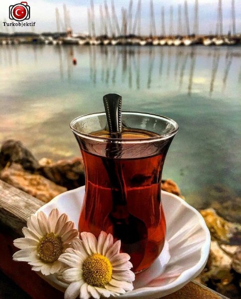 Турецкий чай с дорыммутром
