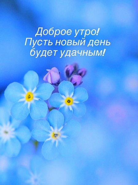 Доброе утро синие цветы