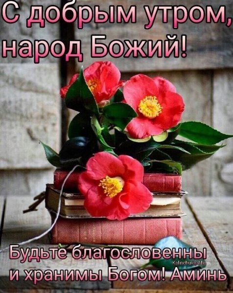 Доброе утро благословенного дня