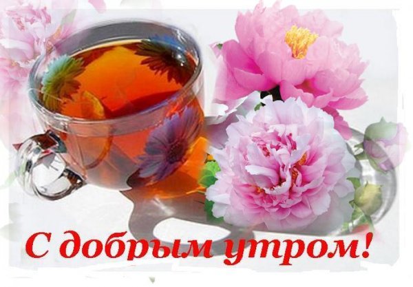 Доброе утро Благодатного дня