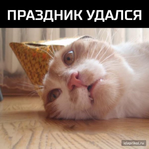 Праздник удался приколы