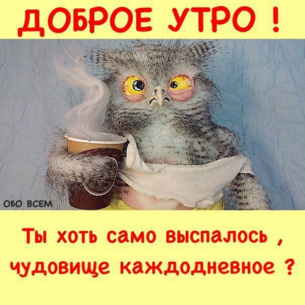 Утро добрым бывает