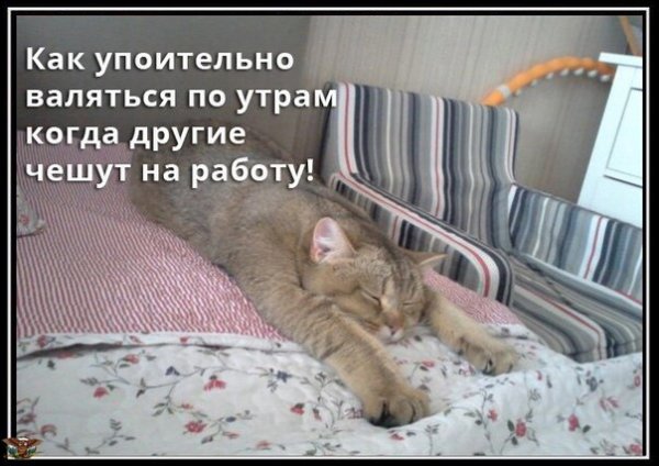 Когда другие чешут на работу