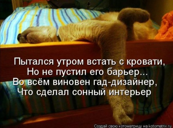 Доброе утро не могу встать