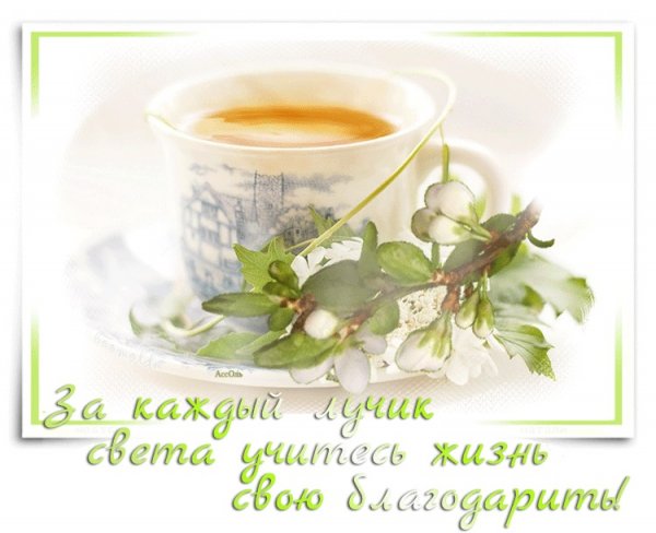 Чудесные пожелания доброго утра