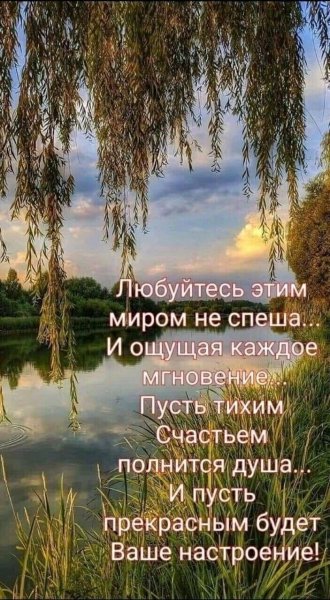 Душевные пожелания с добрым утром