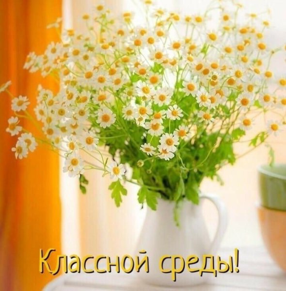 Доброе утро ромашки